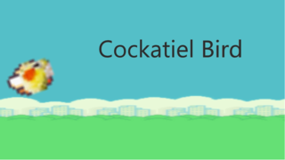 Cockatiel Bird